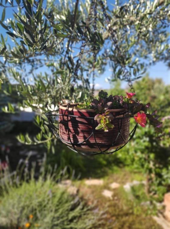 Apartmani Lucica Jezera Buitenkant foto