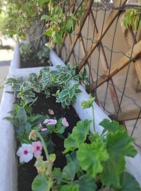 Apartmani Lucica Jezera Buitenkant foto