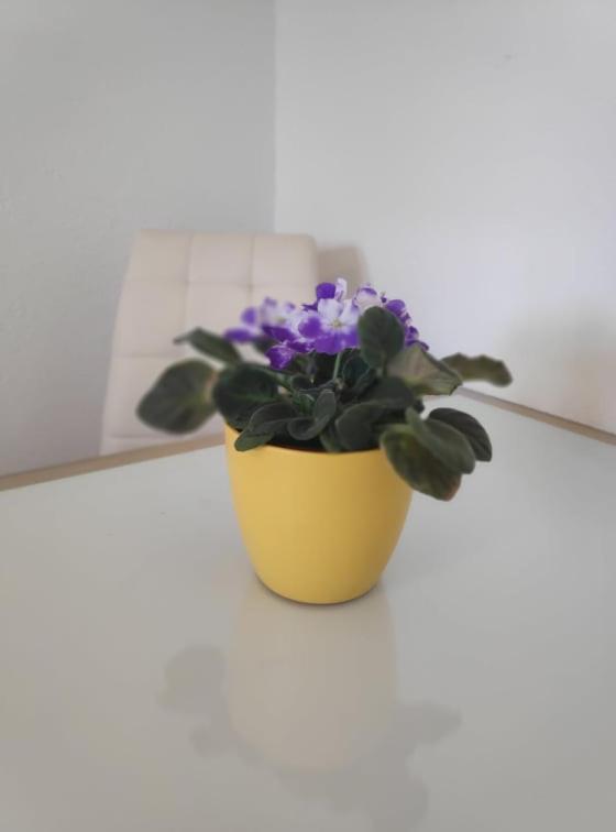 Apartmani Lucica Jezera Buitenkant foto
