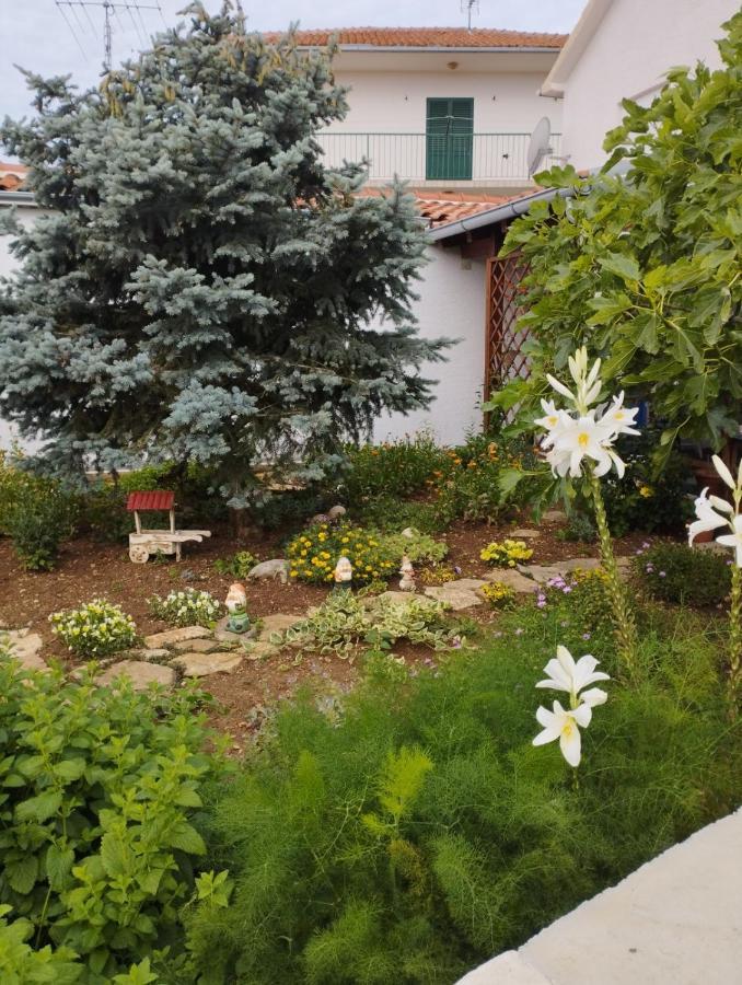 Apartmani Lucica Jezera Buitenkant foto