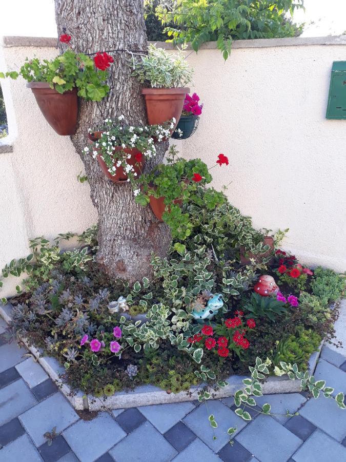 Apartmani Lucica Jezera Buitenkant foto